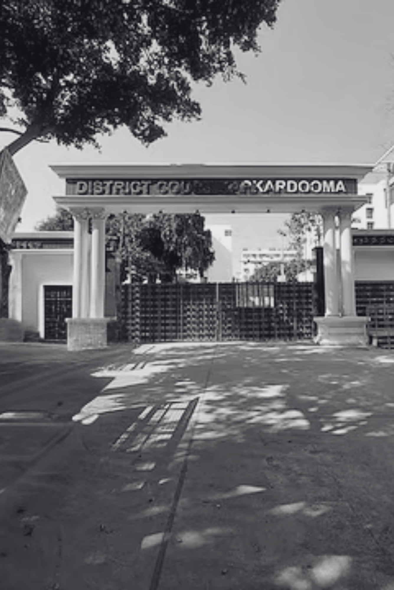 Untitled design (50)